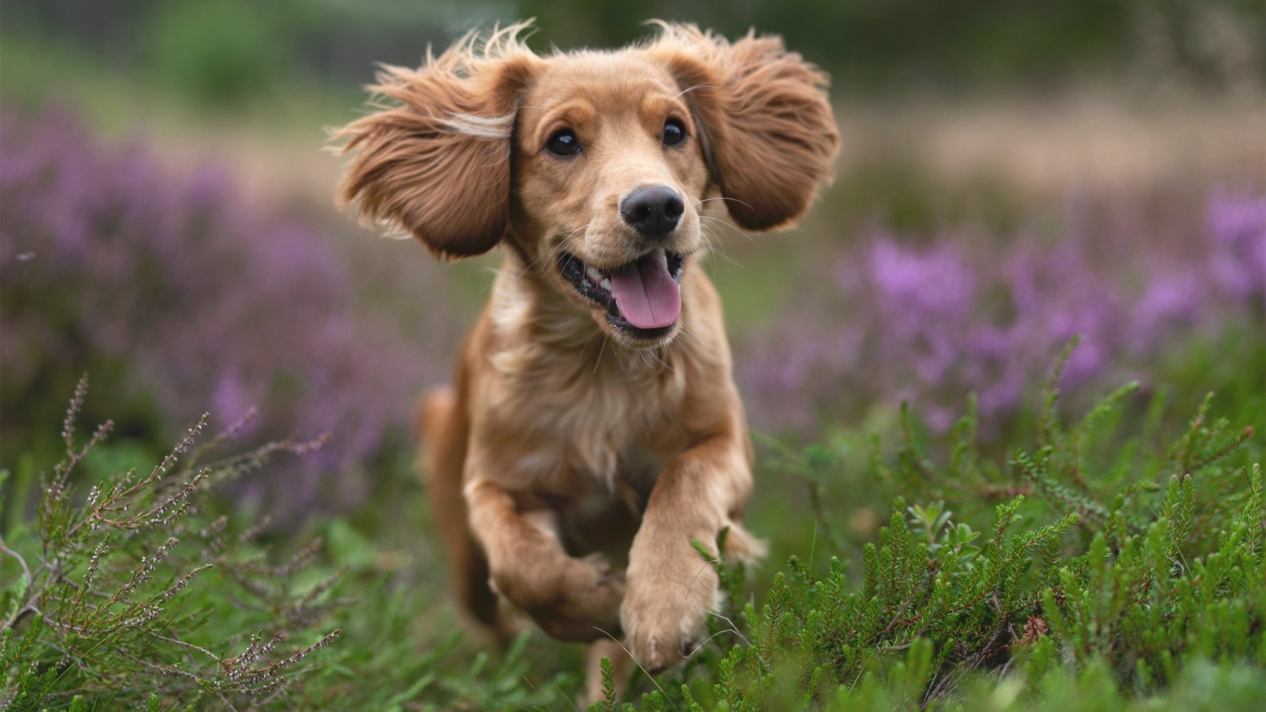 九游官网下载电脑版-《英雄联盟跨洲赛场，巅峰对决火花四溅》