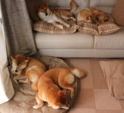 【传闻爆料】关于球员转会的未确认消息，球员转会需要球员同意吗