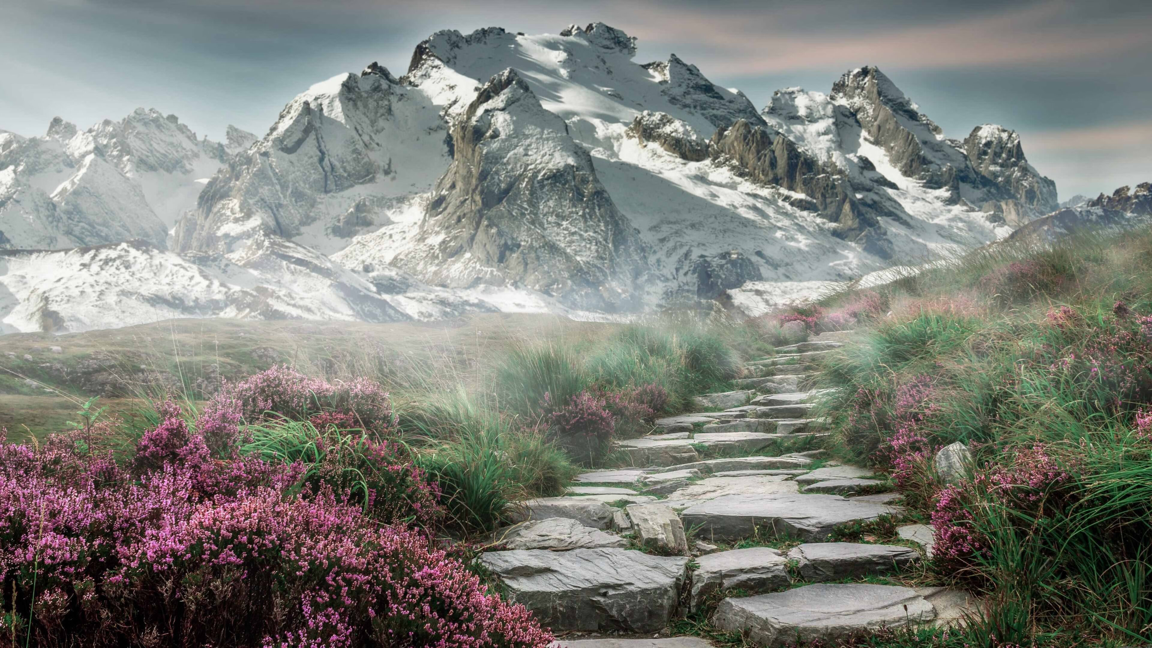 九游9游-【布局思想】奥沙利文的多角度、多方案攻势谋划，奥沙利文破百